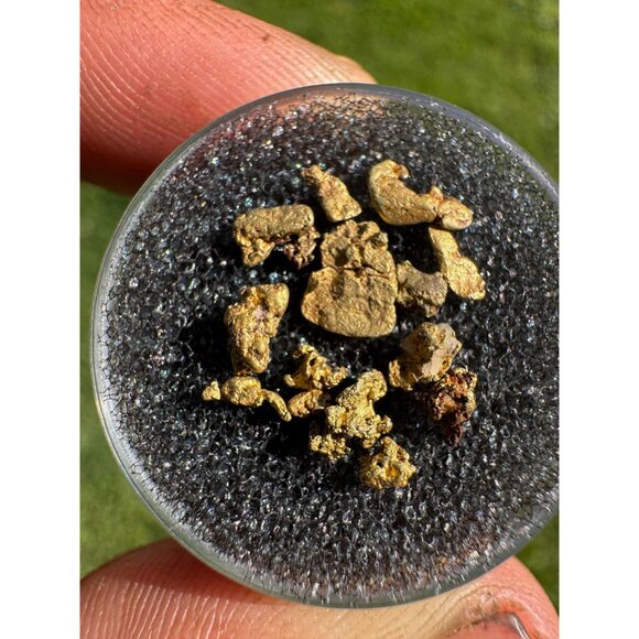 Gold Nuggets from California - 1 gram - Picture 3 of 4